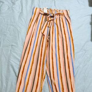 NWT BCBG pull on pants